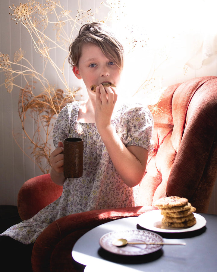 Chocolate Chip Cookie Mix 300g